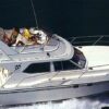 FAIRLINE 32 SEDAN FLY