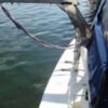 FAIRLINE 32 SEDAN FLY