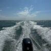 ebrecharter 1